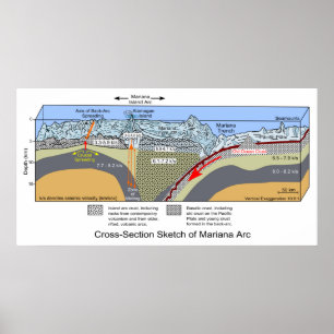 Diagram över kor i Mariana Trench Poster