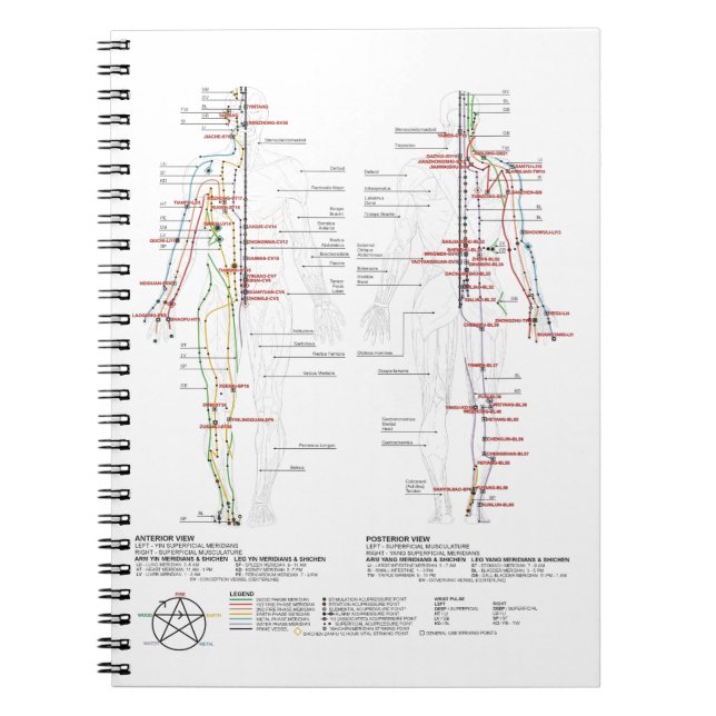 Diagram över mänskliga meridianer anteckningsbok (Framsidan)
