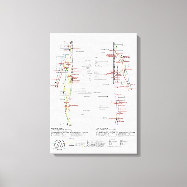 Diagram över mänskliga meridianer canvastryck (Framsida)