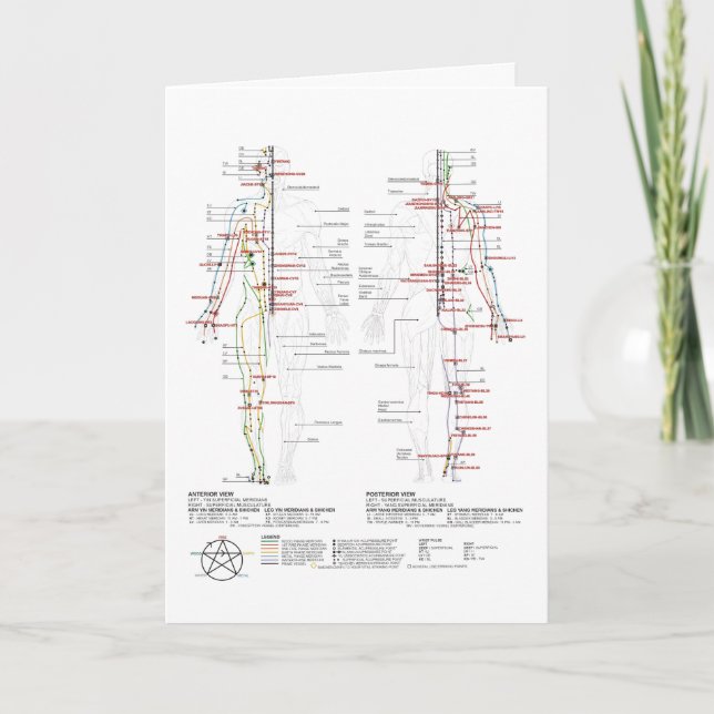 Diagram över mänskliga meridianer kort (Framsida)