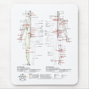 Diagram över mänskliga meridianer musmatta