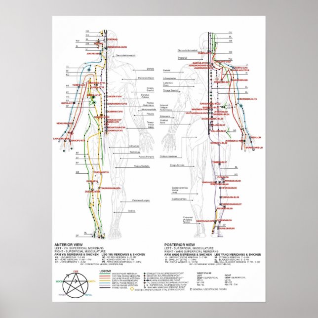 Diagram över mänskliga meridianer poster (Framsidan)
