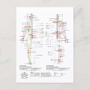 Diagram över mänskliga meridianer vykort