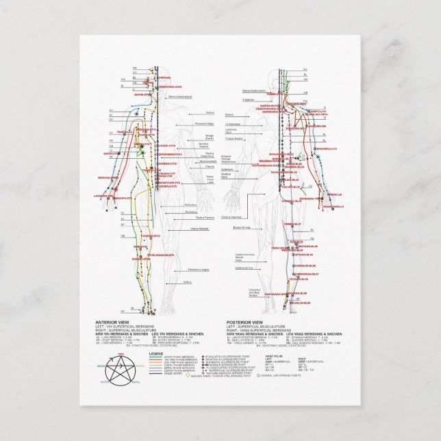Diagram över mänskliga meridianer vykort (Framsida)