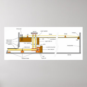 Diagram över Musical Instrument Harpsichord Poster