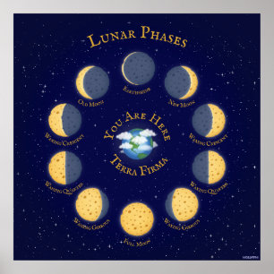 Diagram över ostar Måne Whimsical Lunar Phases Poster
