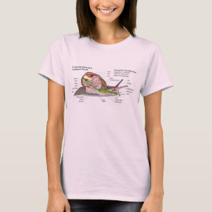 Diagram över Snigel (Helix aspersa) T Shirt