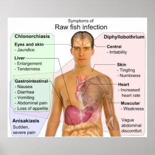 Diagram över symtom på en obehandlad fiskinfektion poster