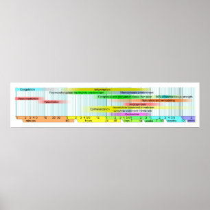 Diagram över våthälsning poster