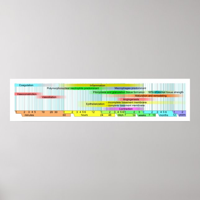 Diagram över våthälsning poster (Framsidan)