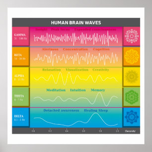 Diagram över Vinkart humant hjärndiagram - Regnbåg Poster