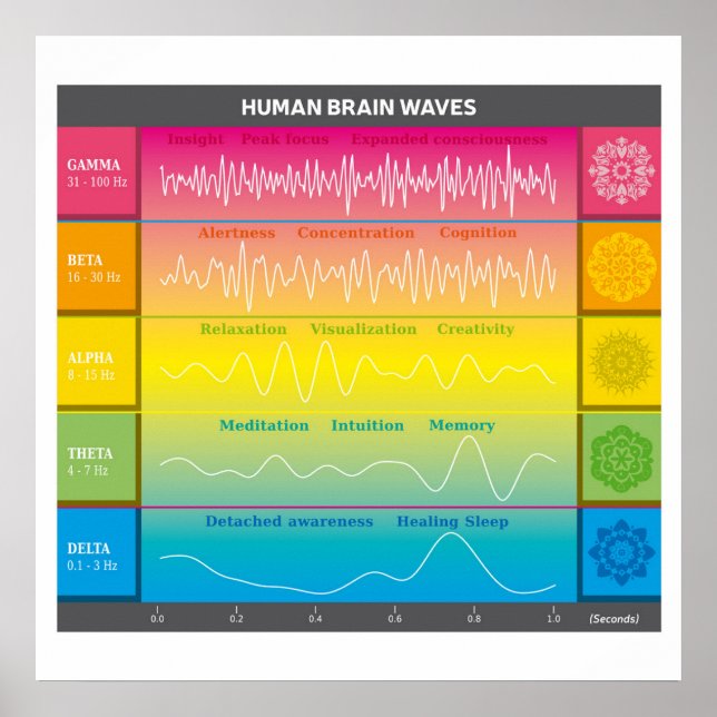 Diagram över Vinkart humant hjärndiagram - Regnbåg Poster (Framsidan)