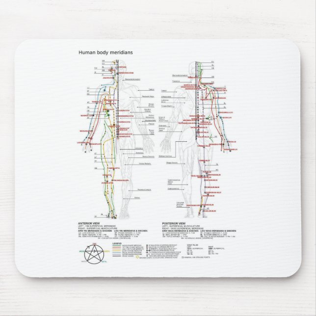  Diagram Schematic Chinese Meridians Human Body  Musmatta (Framsidan)