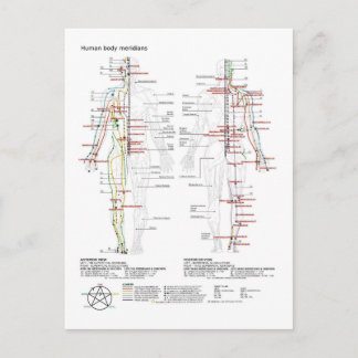  Diagram Schematic Chinese Meridians Human Body  Vykort