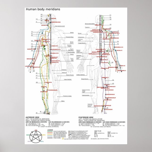  Diagram schematisk kinesiska meridianer människo  Poster (Framsidan)