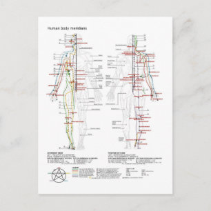 Diagram schematisk kinesiska meridianer människok Vykort
