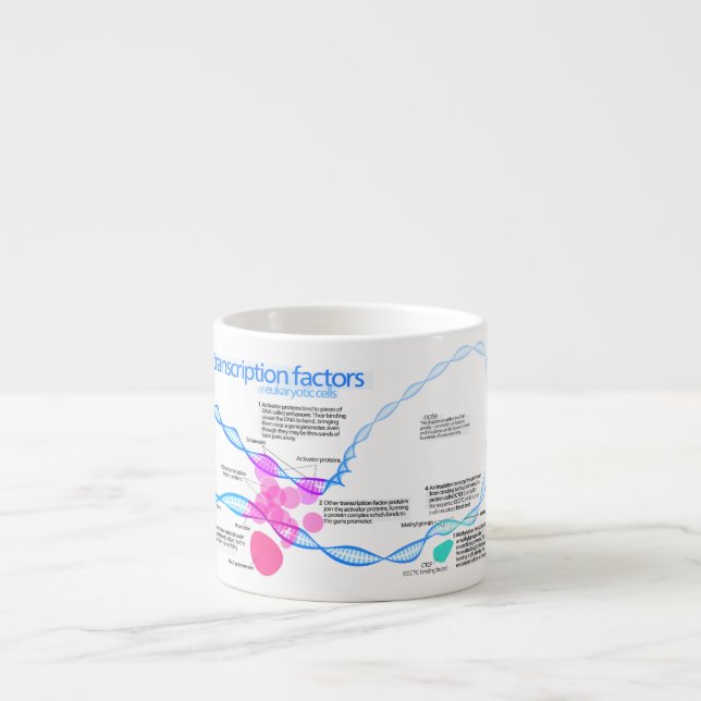 Diagrammet av gentranskription dela upp i faktorer espressomugg (Framsidan)