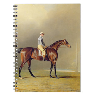 Diamant med Dennis Fitzpatrick upp, 1799 (olja på Anteckningsbok