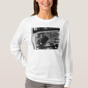 Diamant sjön, den Oregon kabinen beskådar T Shirt