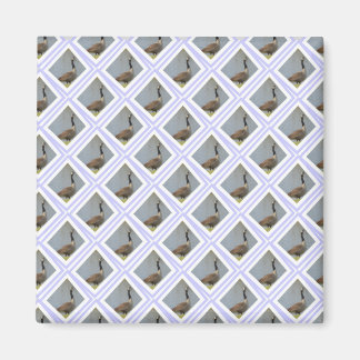 Diamantformad gås vid dammmagnet magnet
