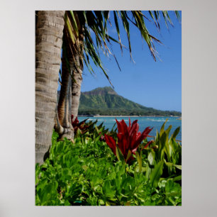 Diamanthuvud, Honolulu, Hawaii Poster