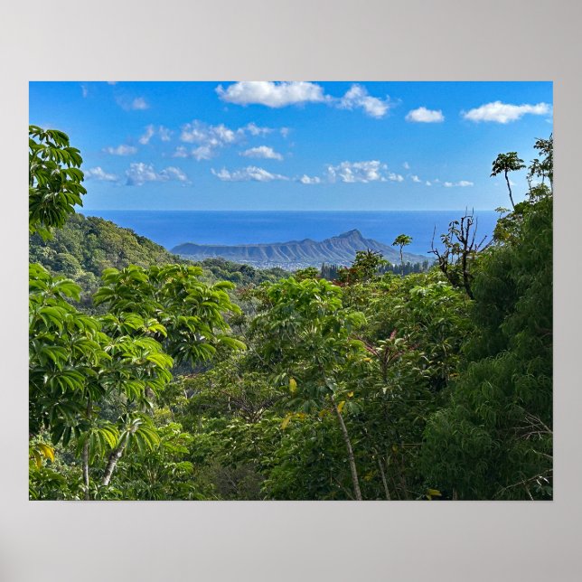 Diamanthuvud Poster (Framsidan)