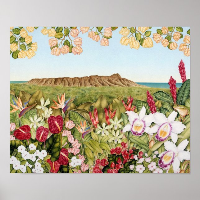 Diamanthuvud Poster (Framsidan)