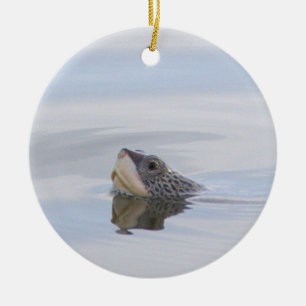 Diamantsköldpadda Sköldpadda Ansikte Ornament 