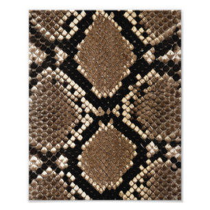 Diamond Back Rattlenake Skin Fototryck