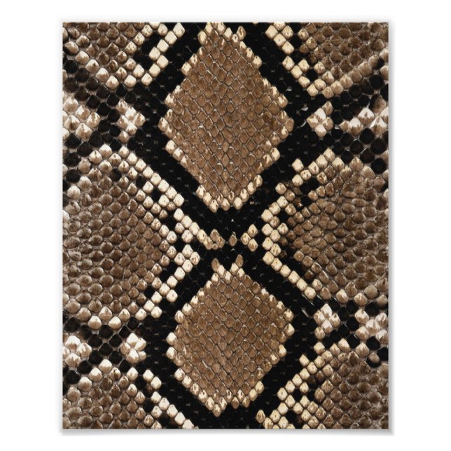 Diamond Back Rattlenake Skin Fototryck (Framsidan)