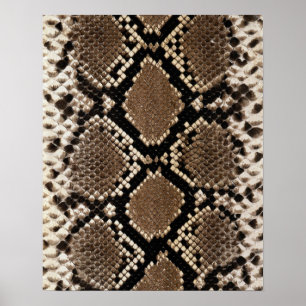 Diamond Back Rattlenake Skin Poster