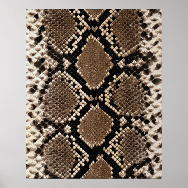 Diamond Back Rattlenake Skin Poster (Framsidan)