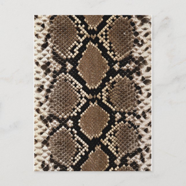 Diamond Back Rattlenake Skin Vykort (Framsida)