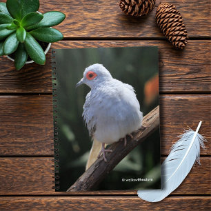 Diamond Dove i Spotlight Anteckningsbok