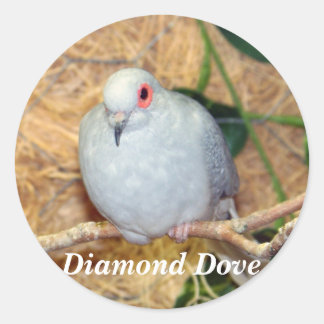 DIAMOND DOVE RUNT KLISTERMÄRKE