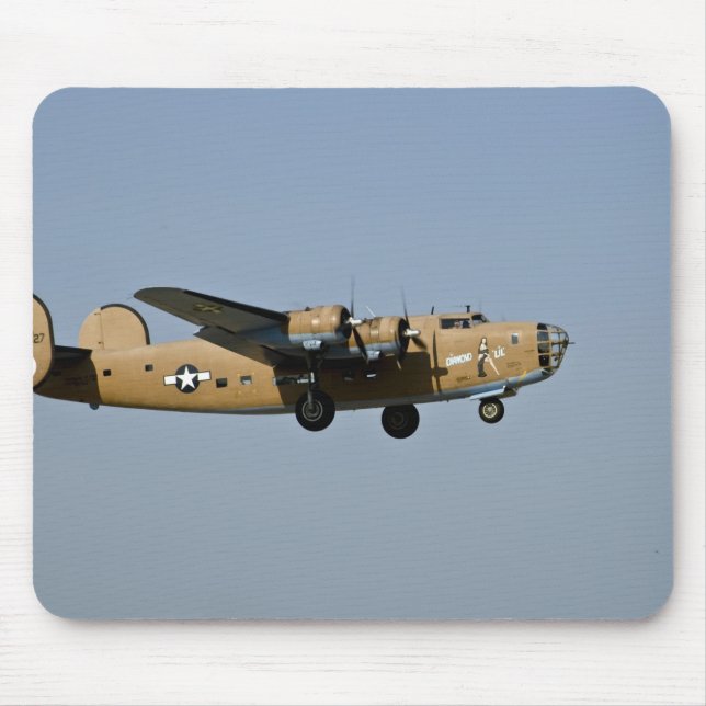 Diamond Lil B-24 Bombplan landar i Oshkosh, Musmatta (Framsidan)