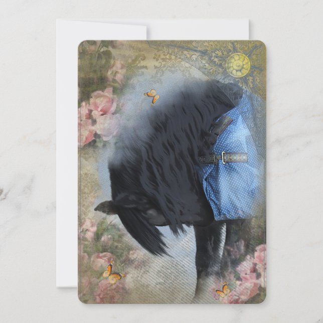 DIAMOND och hans nya filt - Greeting Card Tack Kort (Framsida)