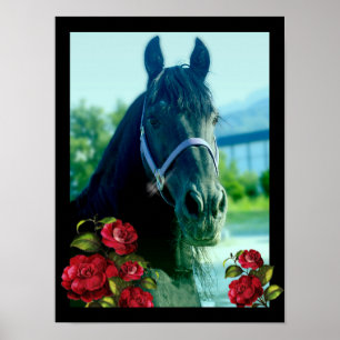 DIAMOND PORTRÄTT - POSTER