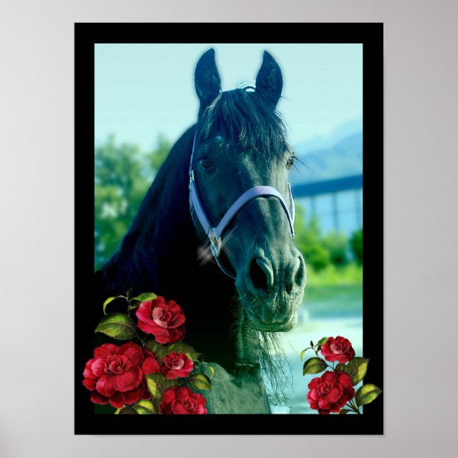 DIAMOND PORTRÄTT - POSTER (Framsidan)