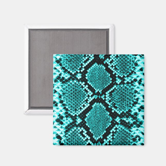Diamond Rattlesnake Snake Skin aqua Magnet (Front/Back)