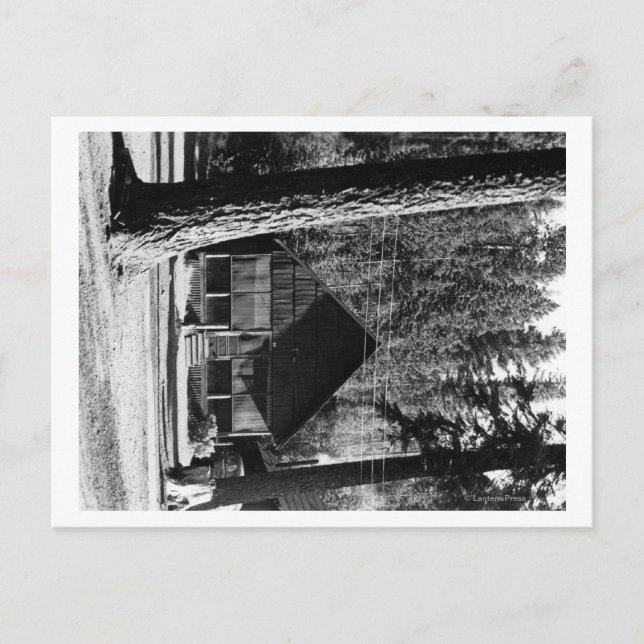 Diamond Sjö, Oregon Cabin View-foto Vykort (Framsida)