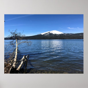 Diamond Sjö, Oregon Poster