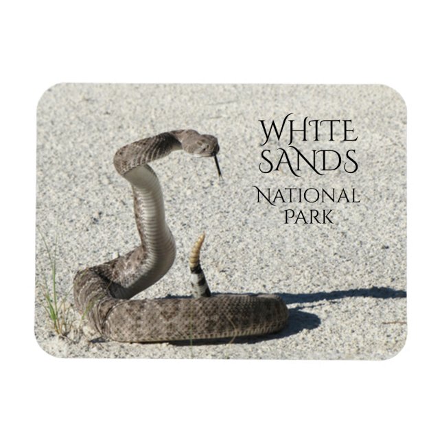 Diamondback Rattlesnake, White Sands National Magnet (Horisontell)