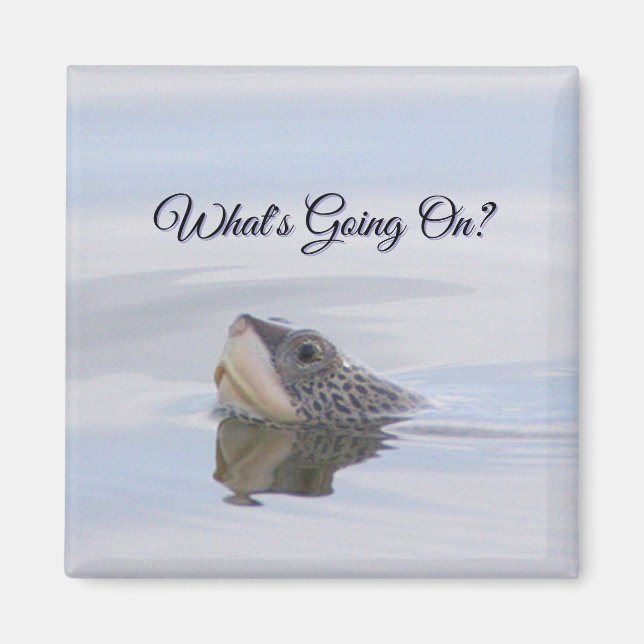 Diamondback Terrapin Turtle Face Magnet (Framsidan)