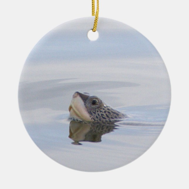 Diamondback Terrapin Turtle Face Ornament  (Framsidan)