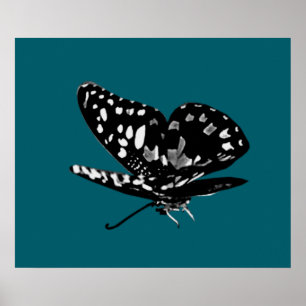Diamoned Wings Poster