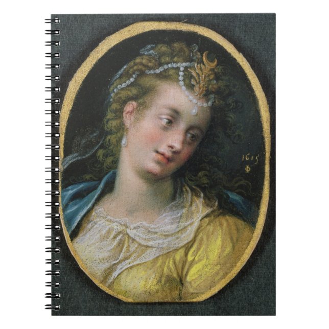 Diana 1615 anteckningsbok med spiral (Framsidan)