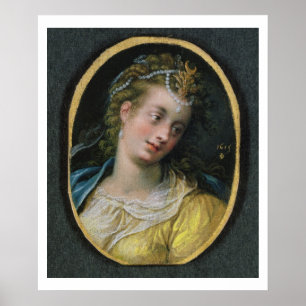 Diana 1615 poster