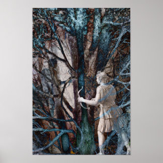 Diana, Hunts gudinna, i en Magic Forest Poster