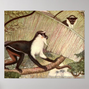 Diana Monkey av Louis Sargent, Vintage Vild Animal Poster